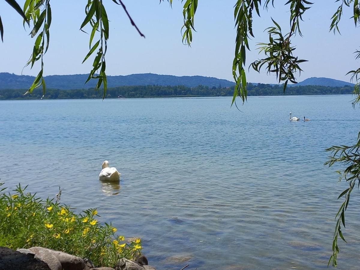 Appartamento Miralago Con Giardino Sul Lago Gavirate Buitenkant foto