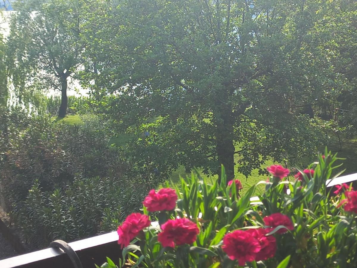 Appartamento Miralago Con Giardino Sul Lago Gavirate Buitenkant foto