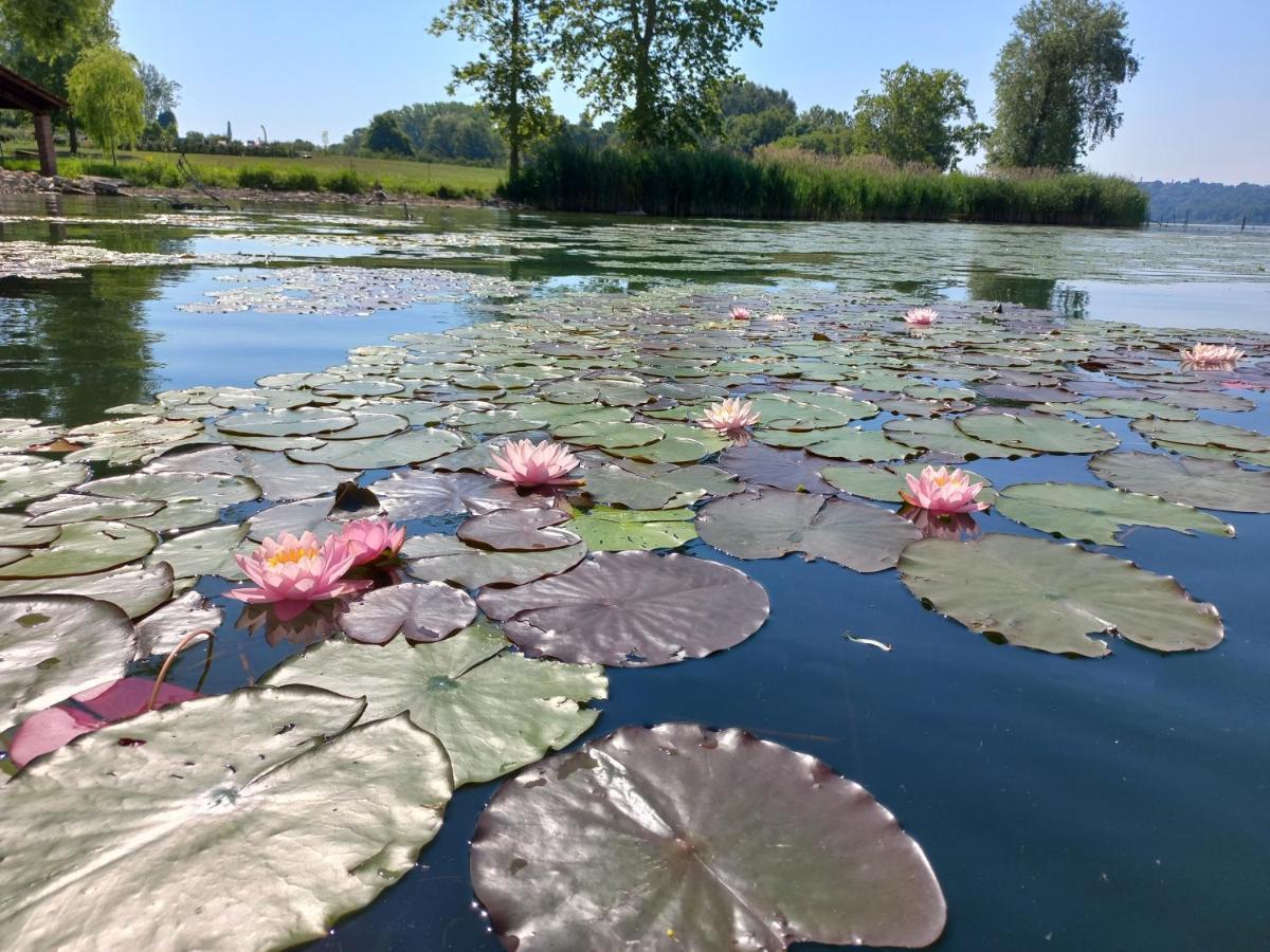 Appartamento Miralago Con Giardino Sul Lago Gavirate Buitenkant foto